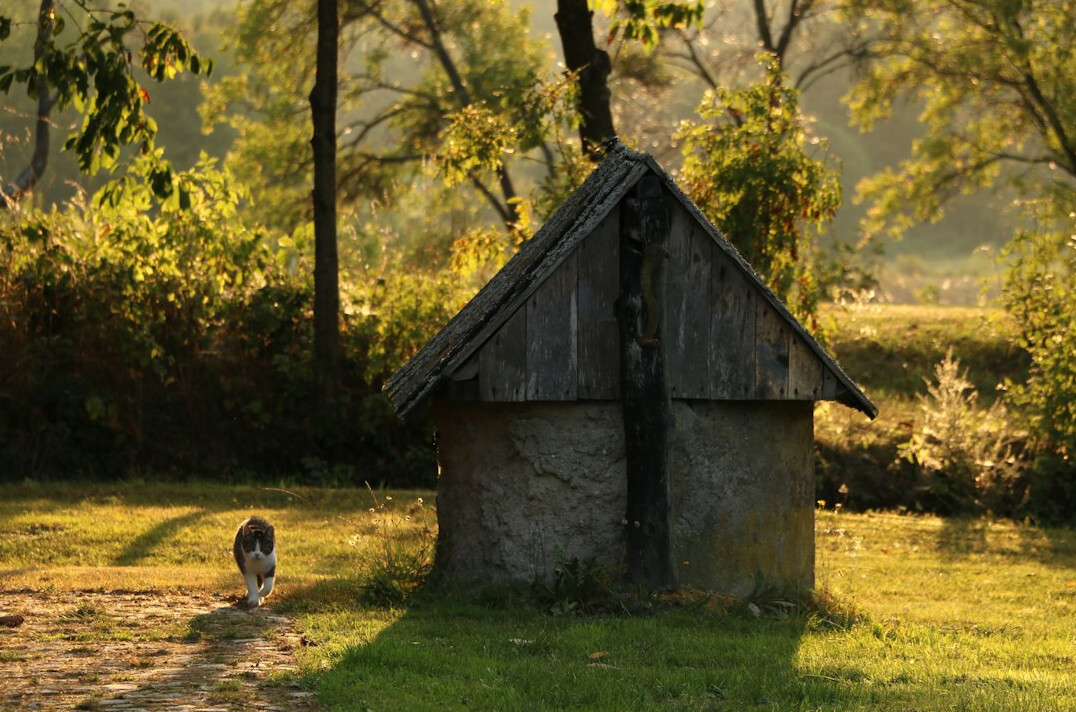 polish rural path